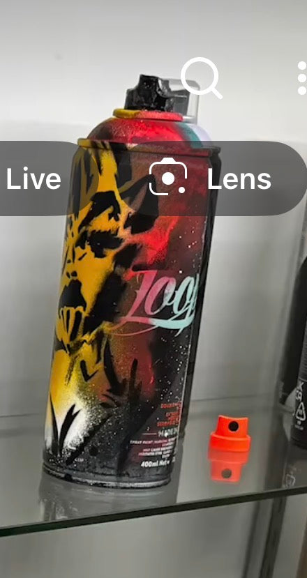 Kingdom Custom Loop Spray Paint Custom Designed Cans by Thriftshoppe Designs